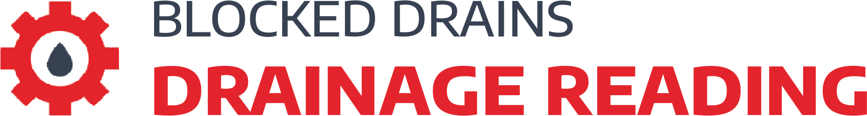 website logo